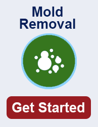 mold remediation in Bolingbrook IL